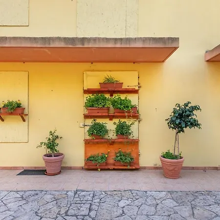 Apartment Sa Corte De Dinu *