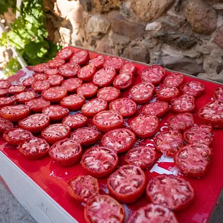 Sa Corte De Dinu SantʼAnna Arresi