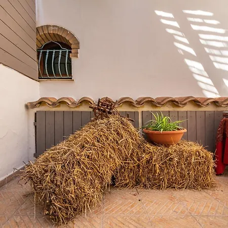 Sa Corte De Dinu SantʼAnna Arresi